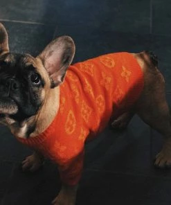 Lola + The Boys Chewy Vuitton Puppy Sweater