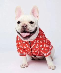 Lola + The Boys Pupreme Puppy Bomber Lola + The Pups