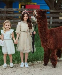 Lola + The Boys Girls Gold And White Unicorn Ruffle Sleeve Dress