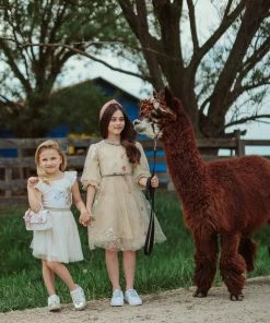 Lola + The Boys Girls Gold And White Unicorn Ruffle Sleeve Dress
