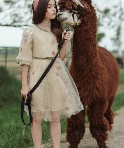 Lola + The Boys Girls Golden Star Party Dress