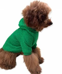 Outlet ๐ Lola + The Boys Fashionista Pup Emerald Hoodie ๐ 9 Lola + The Boys Fashionista Pup Emerald Hoodie
