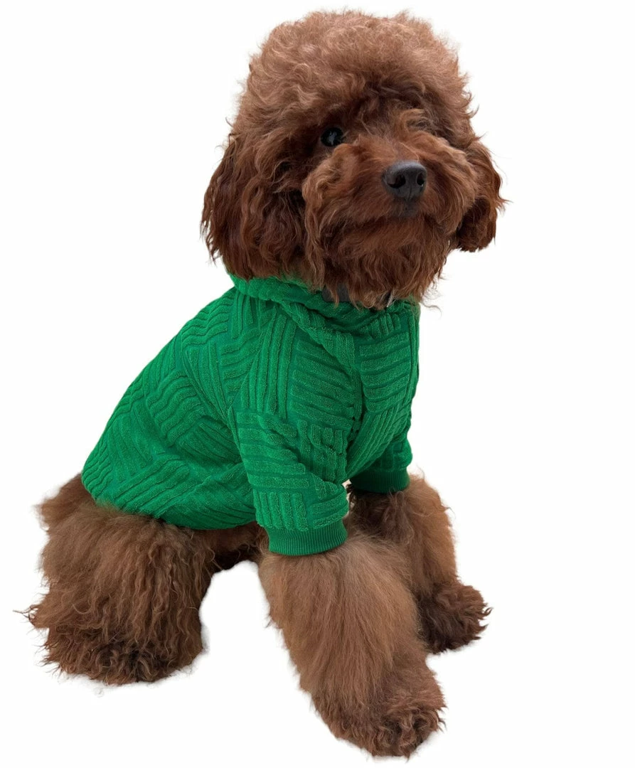 Outlet ๐ Lola + The Boys Fashionista Pup Emerald Hoodie ๐ 3 Lola + The Boys Fashionista Pup Emerald Hoodie