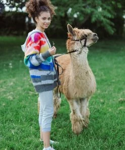 Lola + The Boys Shooting Star Rainbow Sweater