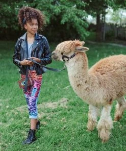 Lola + The Boys Infinity Stone Gem Vegan Jacket