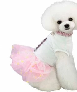 Lola + The Boys New Arrivals LOVE POTION DAISY DOG SKIRT